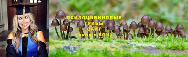 каннабис Нефтекумск
