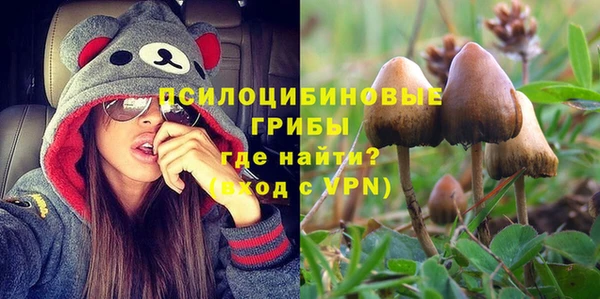 меф Нефтегорск