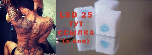 альфа пвп Нея
