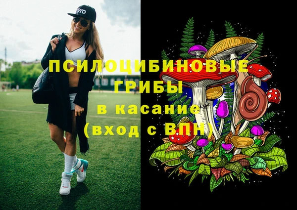 гидропоника Бежецк