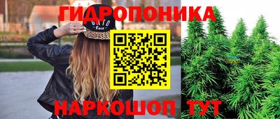 герыч Лесосибирск