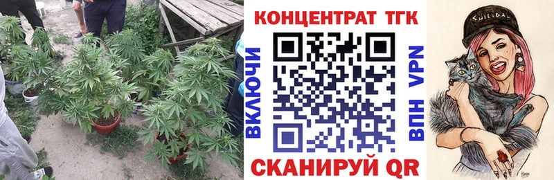 как найти наркотики  Сальск  kraken зеркало  ТГК гашишное масло 