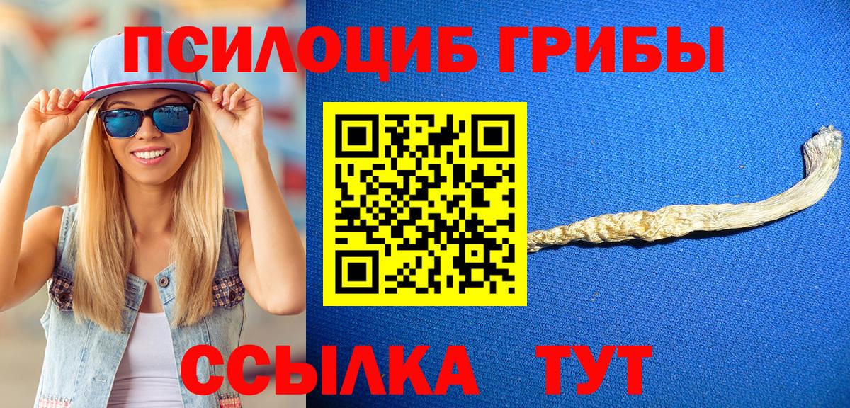 Галлюциногенные грибы Cubensis Сальск