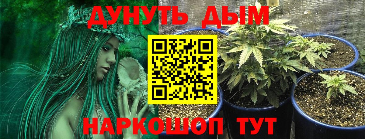 Бошки Шишки тримм Сальск